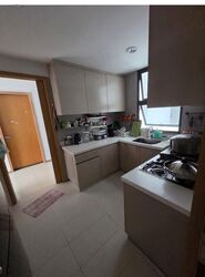 Blossom Residences (D23), Condominium #556850931